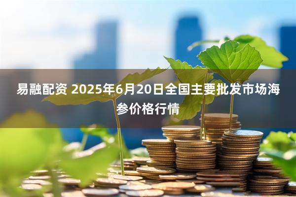 易融配资 2025年6月20日全国主要批发市场海参价格行情