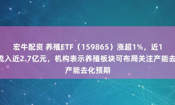 宏牛配资 养殖ETF（159865）涨超1%，近10日净流入近2.7亿元，机构表示养殖板块可布局关注产能去化预期