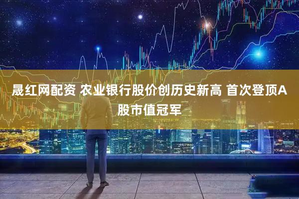 晟红网配资 农业银行股价创历史新高 首次登顶A股市值冠军