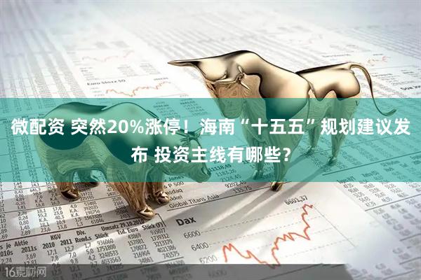 微配资 突然20%涨停！海南“十五五”规划建议发布 投资主线有哪些？
